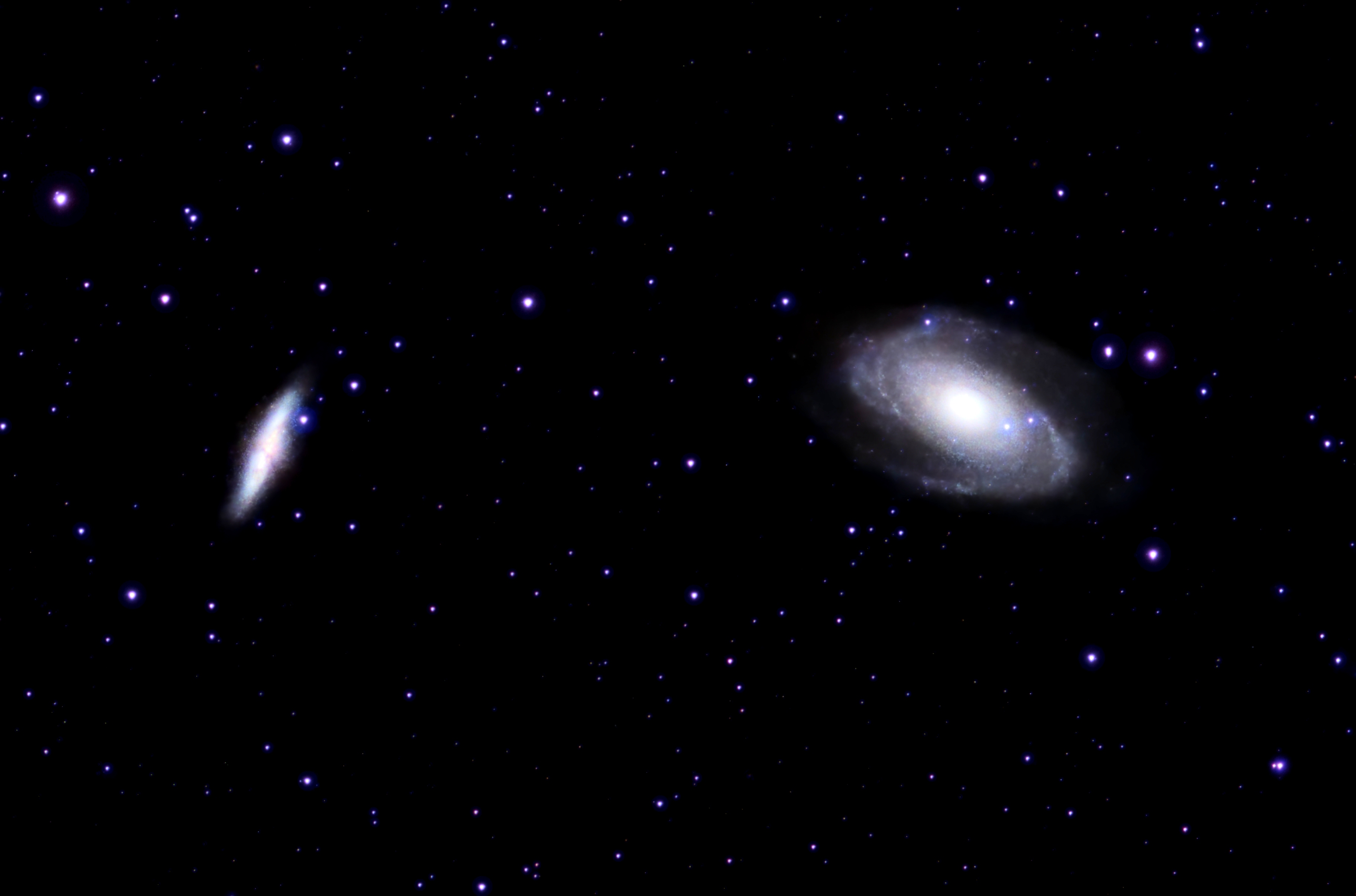 Bode's Galaxy and the Cigar Galaxy
