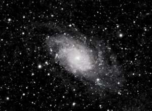 M33 Spiral Galaxy