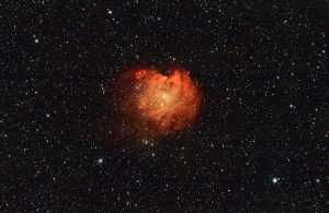 The Monkey Head Nebula